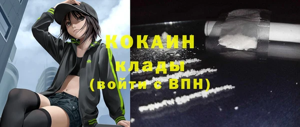 прущие грибы Вязники