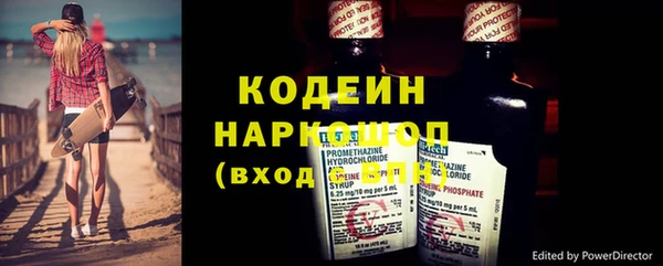 прущие грибы Вязники