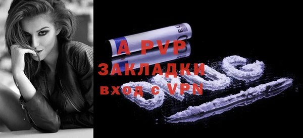 стафф Вяземский