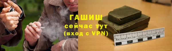 прущие грибы Вязники
