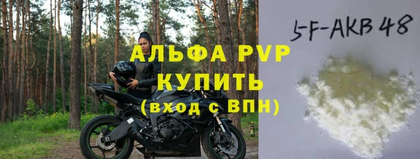 прущие грибы Вязники
