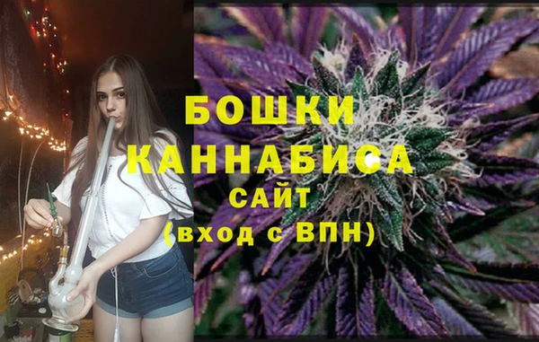 стафф Вяземский