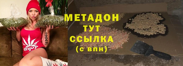 прущие грибы Вязники