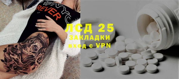стафф Вяземский