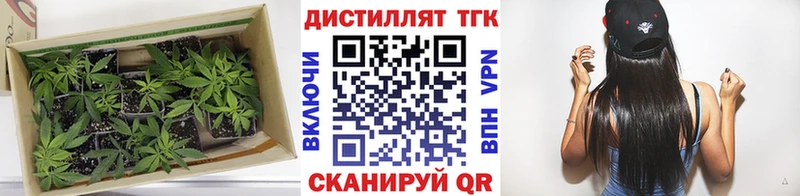 ТГК гашишное масло  наркошоп  Нальчик 