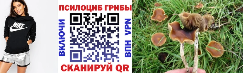 Псилоцибиновые грибы мицелий  hydra маркетплейс  Нальчик 